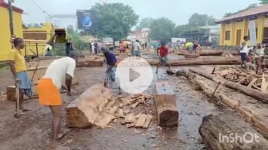 जगदलपुर: सिरहासार चौक में रथ निर्माण कार्य में तेजी, बस्तर दशहरे के लिए कई गांवों से लाई जा रही है लकड़ी