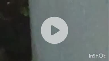 पुष्पराजगढ़: डोला में भालू के आतंक से लोग परेशान, 13 वर्षीय किशोरी घायल