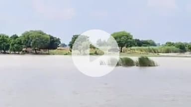 सिराथू: शराबी पति से नाराज महिला ने कोखराज गंगा ब्रिज से कूदकर गंगा में लगाई छलांग, झाड़ियों में फंसने पर पुलिस ने बचाई जान