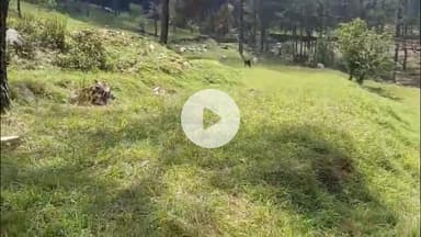 कांडा: ससोला गांव में राजकीय नर्सिंग कॉलेज का निर्माण करेगी मंडी परिषद, निदेशक चिकित्सा शिक्षा ने दी जानकारी, क्षेत्र में खुशी