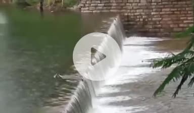 జడ్చర్ల: బాలానగర్ మండల కేంద్రంలోని అలుగు పారుతున్న చిన్న చెరువు