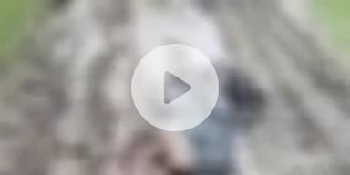 फतुहा: जर्नादनपुर-वरुणा पथ पर मिला एक अज्ञात अधेड़ का शव, पुलिस ने पोस्टमार्टम के लिए भेजा