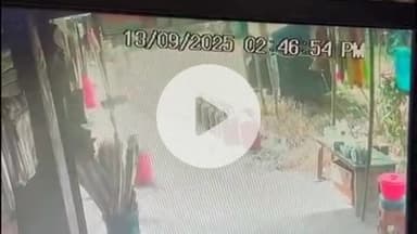 गोंडा: धानेपुर में दिनदहाड़े दुकान से गैस सिलेंडर चोरी, सीसीटीवी फुटेज हुआ वायरल