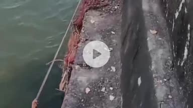 लाडपुरा: कोटा के बजरंग नगर में मॉर्निंग वॉक पर गए व्यक्ति का नहर में गिरना, महिला पुलिसकर्मी और एक युवक ने बचाया