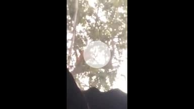 अमेठी: मंदिर कब्जे के आरोप पर बवाल, आरोपी पक्ष ने बयान जारी कर कहा– हम सनातनी भक्त, वीडियो अधूरा
#vayralvideo