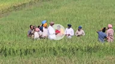 ਅੰਮ੍ਰਿਤਸਰ 2: ਅਜਨਾਲਾ ਇਲਾਕੇ ਦੇ ਵਿੱਚ ਭਾਰਤ ਪਾਕਿਸਤਾਨ ਸਰਹਦ ਤੇ ਪਹੁੰਚੇ ਵਿਧਾਇਕ ਕੁਲਦੀਪ ਸਿੰਘ ਧਾਲੀਵਾਲ