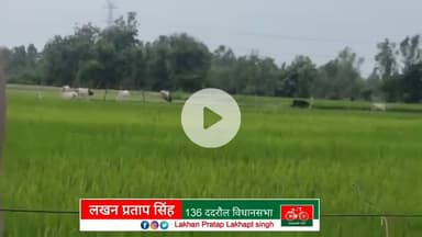 lakhan Pratap Singh Shahjahanpur up 136_ददरौल_विधानसभा_शाहजहांपुर_UP