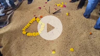 झालरापाटन: झालरापाटन मंडी में नई सोयाबीन की आवक, दोबडी गांव का किसान लेकर पहुंचा, 4411 रुपये प्रति क्विंटल में बिकी