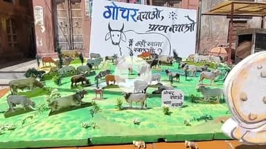 बीकानेर: बीकानेर के चित्रकारों ने मोहता चौक में स्लोगन और चित्रकारी के माध्यम से गौचर संरक्षण का अनोखा विरोध किया