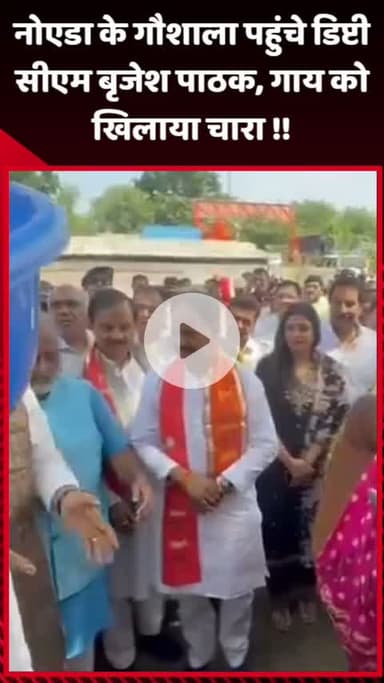 गौतम बुद्ध नगर: नोएडा के गौशाला पहुंचे डिप्टी सीएम बृजेश पाठक, गाय को खिलाया चारा