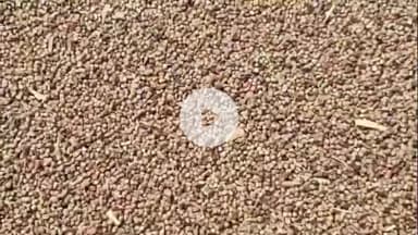 नूह: नूंह की अनाज मंडियों में बाजरे की सरकारी खरीद शुरू नहीं होने से किसान परेशान#jansamsiya