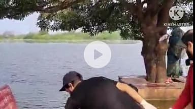 दौसा: दौसा के जागरूक युवाओं ने नगर परिषद की व्यवस्थाओं को दिखाया आईना, पवित्र गेटोलाव सरोवर की तस्वीर चंद घंटों में बदल दी