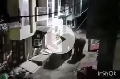 हरिद्वार: जगजीतपुर के राजा गार्डन कॉलोनी में गलियों में रेस लगाते नजर आए जंगली हाथी