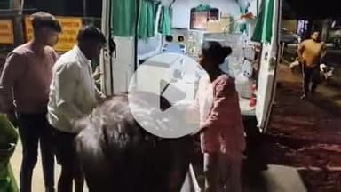 इटावा: चौबिया इलाके के बरालोकपुर में तेज रफ्तार बाइक सवार ने सड़क पार कर रही विधवा महिला को मारी टक्कर, अस्पताल में भर्ती