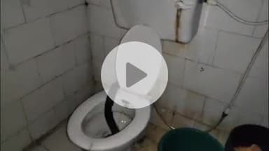 लाडपुरा: एमबीएस अस्पताल परिसर में रेजिडेंट डॉक्टर के आवास में घुसा 5 फीट लंबा कोबरा सांप, मची अफरा-तफरी, किया रेस्क्यू