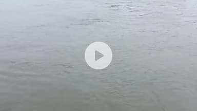 बासोदा: बासौदा: बेतवा नदी में नहाते समय 32 वर्षीय शख्स डूबा, तलाश जारी