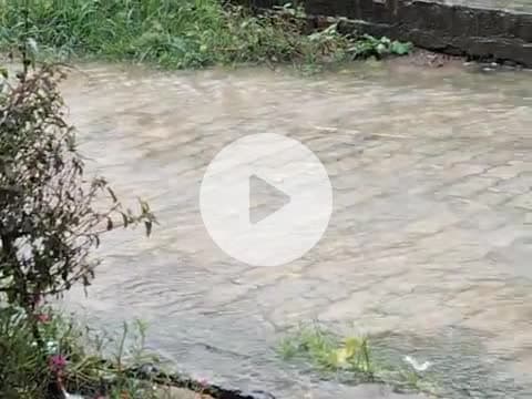 भानपुर नगर पंचायत क्षेत्र में हो रही अच्छी 🌨️ बारिश
अपने किसान भाइयों के प्रति खुशी का माहौल