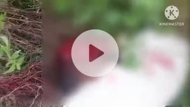 फिरोज़ाबाद: गांव पीथनी चौराहे के पास दबंगों ने पूर्व प्रधान पर लाठी-डंडे से हमला कर किया अधमरा, जमीनी रंजिश के चलते हुआ हमला