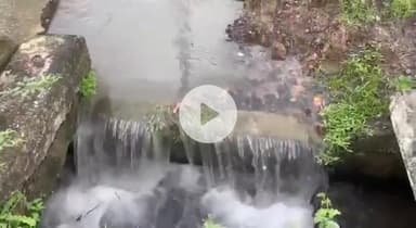 बुदनी: बुधनी के वार्ड 10 में पाइपलाइन फटने से हजारों लीटर पानी बर्बाद, लोग परेशान