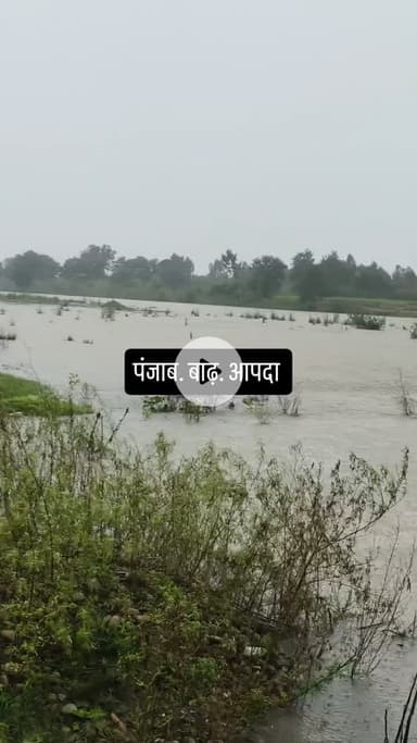 पंजाब बाड की विडिओ फ़ॉलो करें ज़ादा से ज़ादा