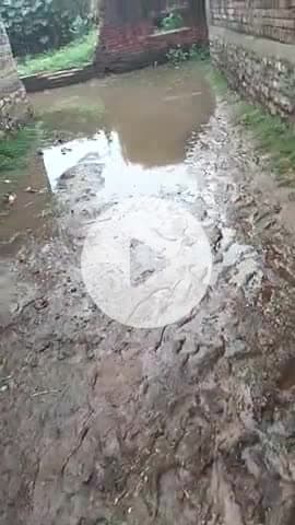 ग्राम पंचायत ajnodha के nakatu pura गांव में अधिक बारिश होने के कारण निकलने तक की भी जगह नहीं है
