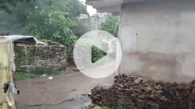 क्षेत्र एवं लोकल सोनवानी में व्हाट्सएप चालू है इस समय किसी का ही वीडियो है बनाया गया है कान्हा न्यूज़ सुनवानी