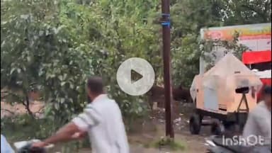 नवादा: नवादा में बारिश के दौरान नगर थाना रोड पर एक पेड़ टूटकर गिरा, रोड पर आने-जाने वाले लोग बच गए