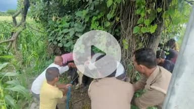 करनैलगंज: करनैलगंज में पुलिस और गौसेवकों ने मिलकर बचाई गाय की जान