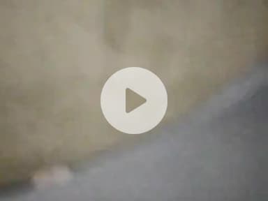 👈 #gk #short #


important gk 
important gk question