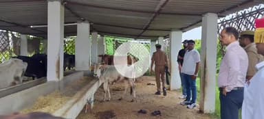 छिबरामऊ: छिबरामऊ में डीएम ने सचिव को निलंबित किया, ग्राम प्रधान के वित्तीय अधिकार सीज करने के आदेश दिए, गौशाला में भ्रष्टाचार मिला