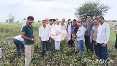 धार: धार के ग्राम देदला में सोयाबीन फसल का निरीक्षण, कई किसानों की फसल हुई खराब