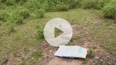 झौथरी: बेड़सा में उमरिया स्कूल के पास एक अजगर दिखाई देने से क्षेत्र में फैली सनसनी, वन विभाग ने रेस्क्यू कर जंगल में छोड़ा