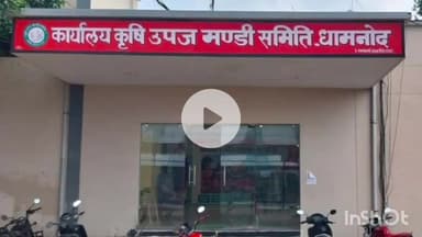 धार: धार जिले के धामनोद में 24 सितंबर से कपास की नीलामी शुरू, किसानों को ₹2 लाख तक नकद भुगतान