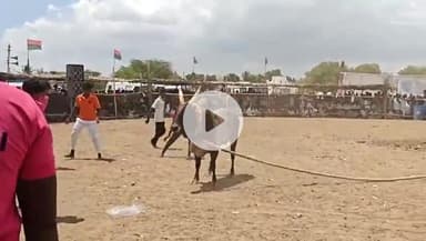 முதுகுளத்தூர்: பெரியஇலை கிராமத்தில் வடமாடு மஞ்சுவிரட்டு போட்டி!