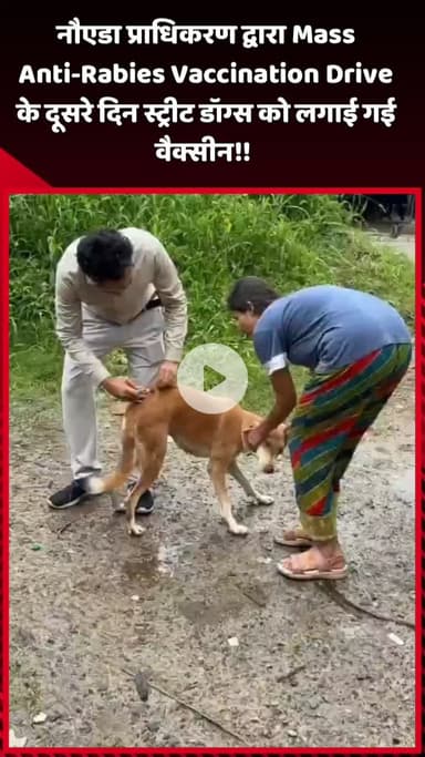 दादरी: नौएडा प्राधिकरण द्वारा Mass Anti-Rabies Vaccination Drive के दूसरे दिन स्ट्रीट डॉग्स को लगाई गई वैक्सीन