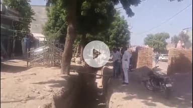 बीकानेर: बीडीए तहसीलदार पर पेड़ काटने की अनुमति देने का आरोप, कार्रवाई की मांग