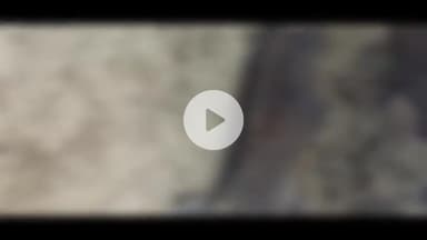 खेकड़ा: खट्टा प्रहलादपुर की बदहाल गौशाला में दर्जनों गौवंशों के शव पड़े होने का वीडियो सोशल मीडिया पर वायरल, मानवता हुई शर्मसार