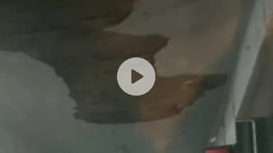 लाडपुरा: कोटा नयापुरा रोडवेज बस स्टैंड पर बड़ा हादसा टला, जर्जर भवन की छत से गिरा मलबा, यात्रियों में दहशत का माहौल