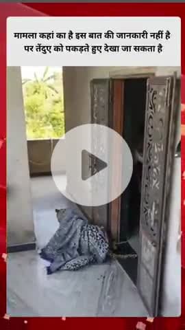 मामला कहां का है इस बात की जानकारी नहीं है लेकिन Mili तेंदुए को पकड़ते हुए देखा जा सकता है