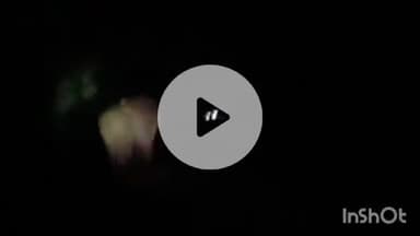 ब्यौहारी: देवलौंद में समधिन नदी के पास शहडोल-रीवा मार्ग पर बेबी एलीफेंट के साथ हाथी आने से मार्ग बंद