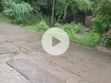 Bali tola road ka halat