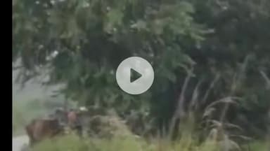 बलरामपुर: जिले में 3 दिन से रुक-रुक कर हो रही बारिश से धान की फसल को हुआ फायदा, मौसम विभाग ने जारी की बारिश की चेतावनी