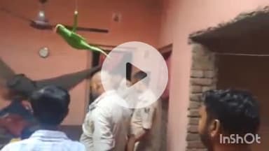 अरवल: वालीदाद पोस्ट ऑफिस में पोस्टमास्टर ने फांसी लगाकर की आत्महत्या, क्षेत्र में फैली सनसनी