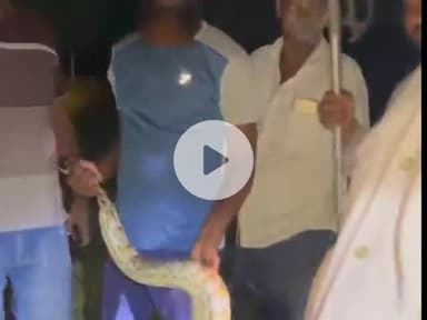 उतरौला: उतरौला तहसील अंतर्गत बीच सड़क से 8 फीट लंबा अजगर का रेस्क्यू कर जंगल में छोड़ा गया