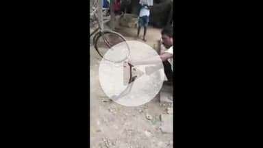 सिराथू: भैसहापर गांव में पकड़ा गया रहस्यमयी कोबरा, कई बार लड़की को काटने से इलाके में फैली थी दहशत