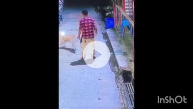 मुज़फ्फरनगर: खालापार में स्ट्रीट डॉग ने राहगीर युवक को नोचा, कई बार हमला कर किया घायल, घटना सीसीटीवी में कैद