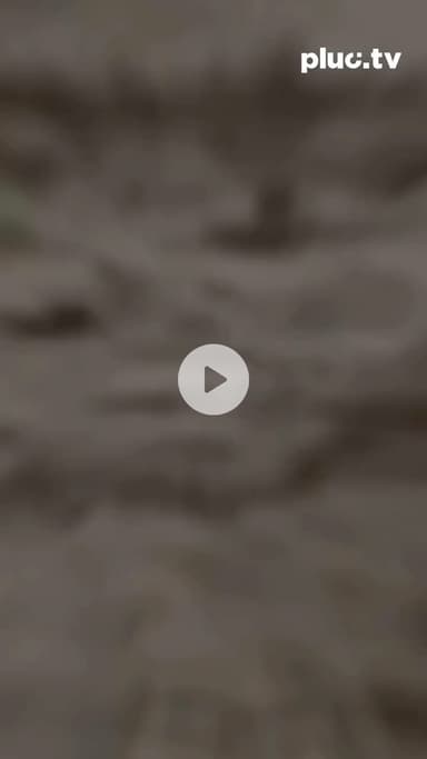 North India battles devastating floods, toxic waters, drowned homes, and chaos everywhere. #pluctv