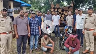 कोटा: वन विभाग बेलगहना टीम ने अवैध वृक्ष कटाई पर की बड़ी कार्यवाही