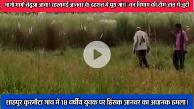 कसिया: भागो भागो तेंदुआ आया! रहस्मई जानवर से गांव में मची दहशत। वन विभाग की टीम जांच में जुटी#जानवर#तेंदुआ#उत्तर प्रदेश