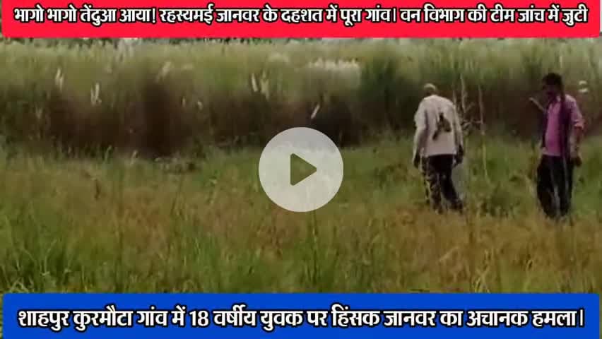 कसिया: भागो भागो तेंदुआ आया! रहस्मई जानवर से गांव में मची दहशत। वन विभाग की टीम जांच में जुटी#जानवर#तेंदुआ#उत्तर प्रदेश